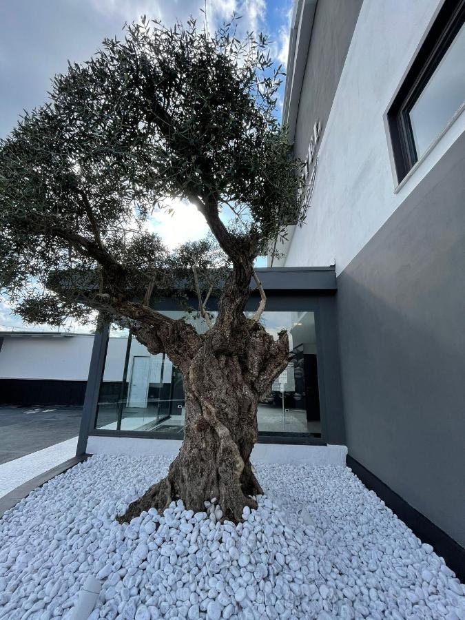 Hotel Cristian Giugliano In Campania Eksteriør bilde